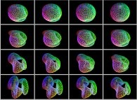 An interpolation between the Bonan-Jeener-Klein triple bottle and a 'double sphere' defined by means of three sets of bidimensional fields 