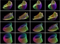 An interpolation between the Möbius strip and the Klein bottle defined by means of three sets of bidimensional fields 