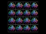 Rotation about the Y (vertical)axis of sixteen interlaced torus that can also be viewed as a set of 4x3 stereograms 