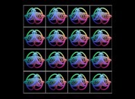 Rotation about the Y (vertical)axis of sixteen interlaced torus that can also be viewed as a set of 4x3 stereograms 