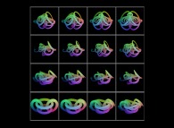 An interpolation between two sets of interlaced torus -four and sixteen respectively- defined by means of three sets of bidimensional fields 