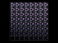 Quark and gluon dynamics of the nucleon 