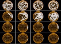 Dynamics of the even distribution of 24 points on a sphere by means of simulated annealing 