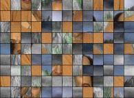 A random permutation of pixel blocks of a Self-Portrait 