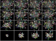 Isotropic random walk of 64 particles on a bidimensional square lattice 