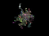 Isotropic random walk of 64 particles on a tridimensional square lattice 