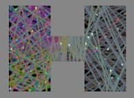 Double bidimensional rectangular billiard with 64 isotropic particles and without collisions 