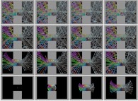 Double bidimensional rectangular billiard with 64 isotropic particles and with collisions 