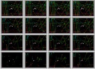 Bidimensional rectangular billiard with 16 random particles, with collisions and display of their gravity center -white particle- 