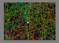 Bidimensional rectangular billiard with 64 random particles, with collisions and display of their gravity center -white particle- 