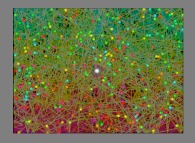 Bidimensional rectangular billiard with 256 random particles, with collisions and display of their gravity center -white particle- 