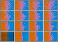 Fractal diffusion front in a bidimensional medium obtained by means of identical interacting particles 