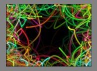 The trajectories of high temperature particles in a bidimensional box submitted to a repulsive central field of gravity 