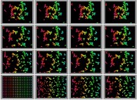 Bidimensional fractal aggregates obtained by means of pasting during collisions of particles submitted to an attractive central field of gravity 