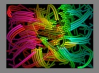 The trajectories of bidimensional fractal aggregates obtained by means of pasting during collisions of particles submitted to an attractive central field of gravity 