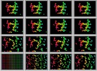 Bidimensional fractal aggregates obtained by means of pasting during collisions of particles submitted to an attractive central field of gravity 