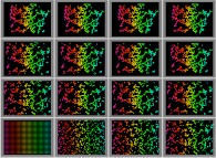 Bidimensional fractal aggregates obtained by means of a 100% pasting process during collisions of particles submitted to an attractive central field of gravity 
