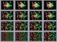 Bidimensional fractal aggregates obtained by means of a 50% pasting process during collisions of particles submitted to an attractive central field of gravity 