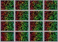 Bidimensional rectangular billiard with 50% of small particles and 50% of big particles -small and big particles have the same mass- 