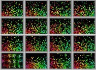 Bidimensional rectangular billiard with 50% of small light particles and 50% of big heavy particles submitted to a vertical field of gravity 