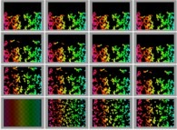 Bidimensional fractal aggregates obtained by means of a 100% pasting process during collisions of particles submitted to a vertical field of gravity 