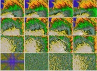 Artistic view of the tridimensional fractal aggregates obtained by means of a 100% pasting process during collisions of particles submitted to a vertical field of gravity 