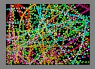 The trajectories of 6 -initially- still particles submitted to an attractive central field of gravity (the center being the magenta lower-left particle)in a bidimensional billiard 