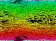 The particle trajectories inside a bidimensional periodical fluid with a vertically shifted central obstacle and during a short time period 