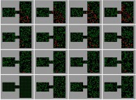 The 'exponential' spreading of a bidimensional epidemic -the COVID-19 coronavirus?- with partial confinement -201 particles-, with a zero death rate and a 50% infection, starting with just one infected person -red particle on bottom left picture- 