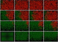 The 'exponential' spreading of a tridimensional epidemic -the COVID-19 coronavirus?- without confinement -1430 particles-, with a zero death rate and with a 100% infection, starting with just one infected person -red particle on bottom left picture- 