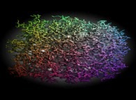 Tridimensional fractal aggregate obtained by means of a 100% pasting process during collisions of particles submitted to an attractive central field of gravity 