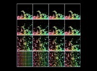 Bidimensional fractal aggregates obtained by means of a 50% pasting process during collisions of particles submitted to a vertical field of gravity 