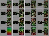 Bidimensional disymmetrical double billiard with 321 isotropic non interacting particles 