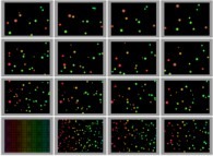 Coalescence of 972 particles -black holes?- on a bidimensional rectangular billiard 