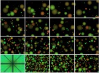 Coalescence of 40832 particles -black holes?- inside a tridimensional parallelepipedic billiard 