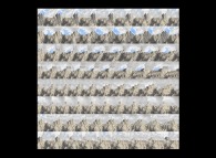 Autostereogram of a quaternionic Julia set and fractal phenomenon -tridimensional cross-section- 