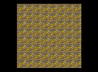 Two multiplexed autostereograms by means of a pi/2 rotation 