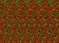 Autostereogram of a quaternionic Julia set -tridimensional cross-section- 