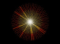 The Syracuse conjecture for U(0)={5,6,7,8,...,68} -'pseudo-ramdom walk' display: 'The Syracuse Sun'- 
