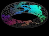 Bidimensional brownian motion on a torus 