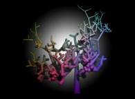 A random tridimensional binary tree 