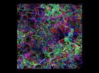 Heterogeneous -tridimensional fractal field- random meshing of a cube 