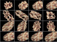 Rotation about the Y (vertical)axis of a tridimensional representation of a quadridimensional Calabi-Yau manifold 