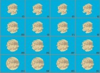 Erosion of a bidimensional random (with small and large scale correlations)island 