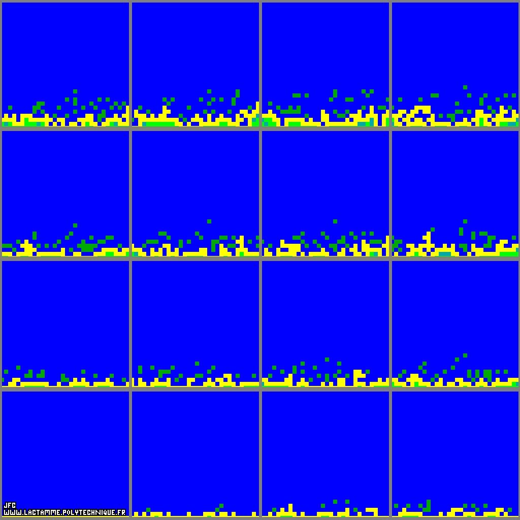 Fractal diffusion front in a bidimensional medium obtained by means of a random walk process (zoom in on the first steps) [Front fractal de diffusion dans un milieu bidimensionnel obtenu grâce à un processus de marche aléatoire (zoom sur les premiers instants) ]