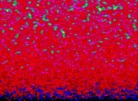 Visualization of the areas where the density is greater than 0.12 during a tridimensional diffusion process of 114299 particles 