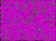 Visualization of the areas where the density is greater than 0.37 during a tridimensional diffusion process of 128312 particles 