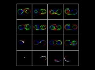 Bidimensional visualization of a bidimensional turbulent flow -sensitivity to initial conditions- 