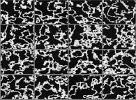 Filament dynamics 