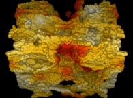 Tridimensional fractal structure in a tridimensional torus 